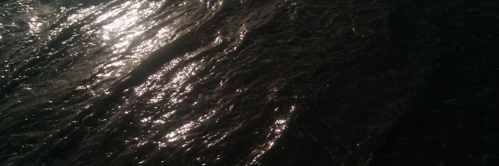AniRqm's profile banner image