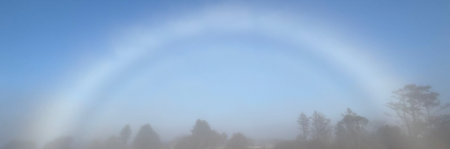 Esther Arnott banner