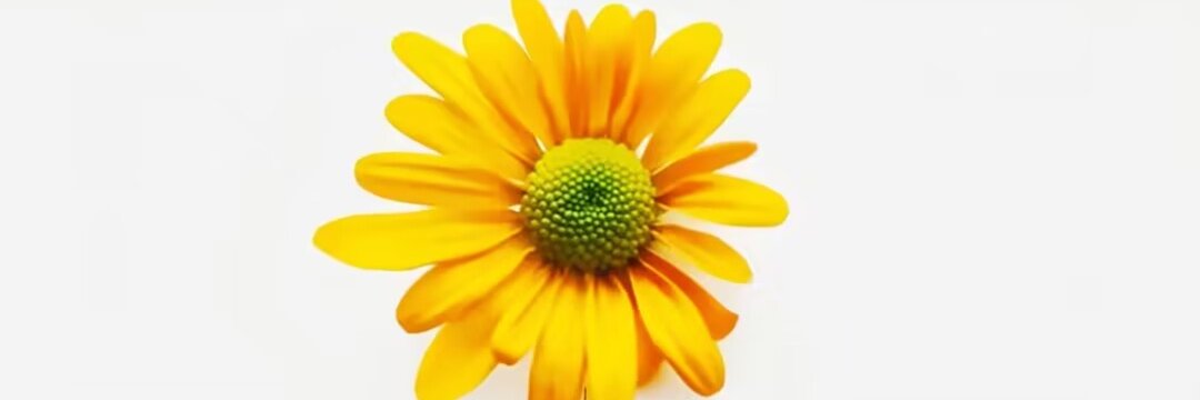 hudie111's profile banner image