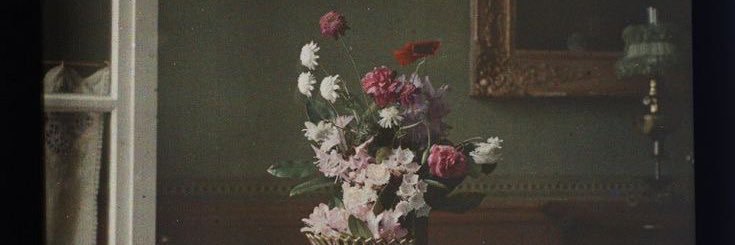 emwimbush's profile banner image