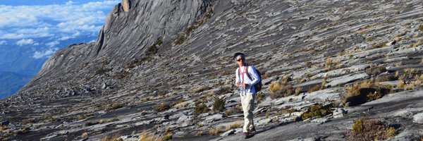 advojunior Profile Banner