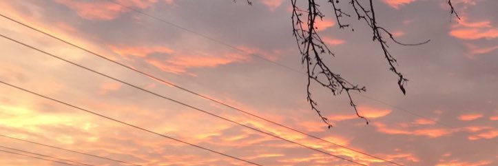 MorganBurkardt's profile banner image