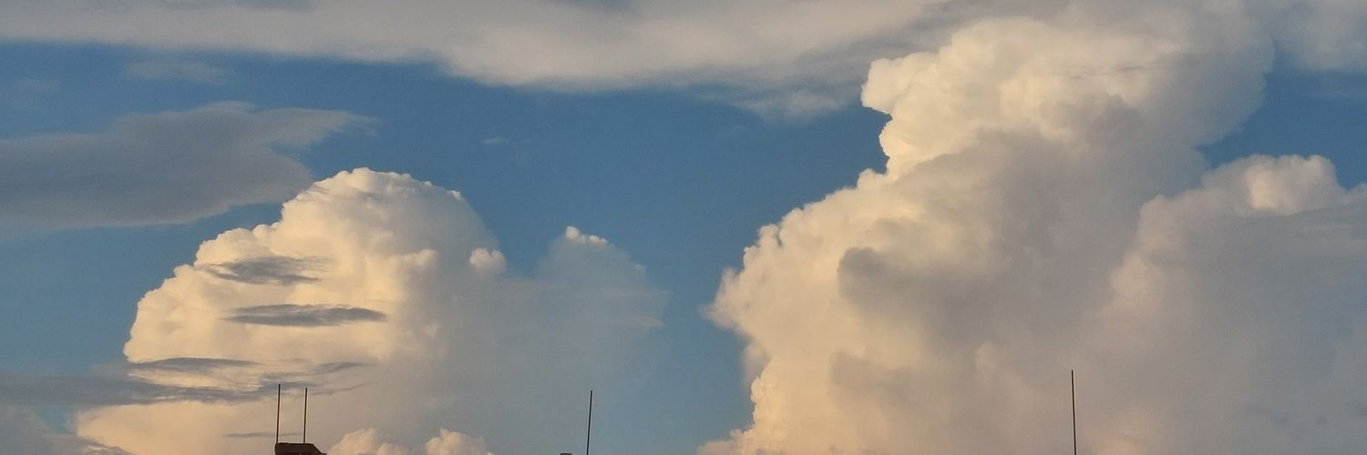 crazyMaedel's profile banner image