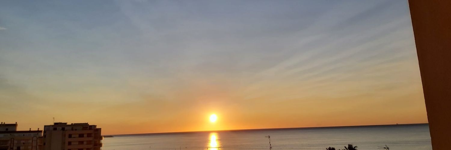 hz66's profile banner image