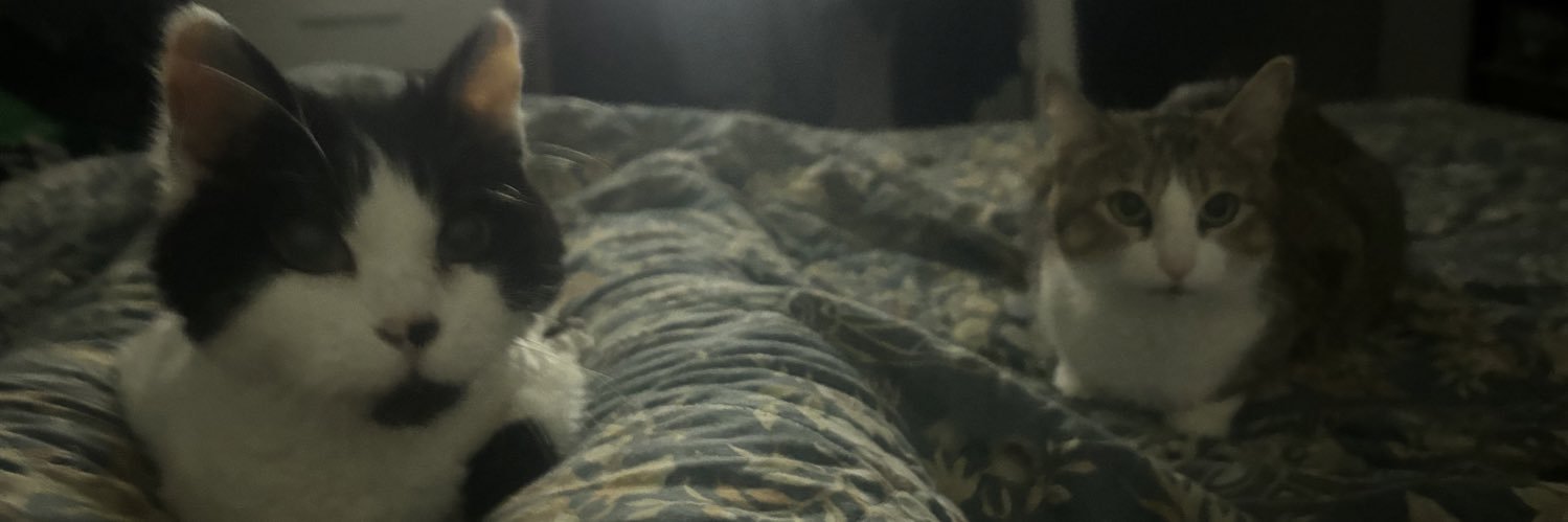 MACuevas92's profile banner image