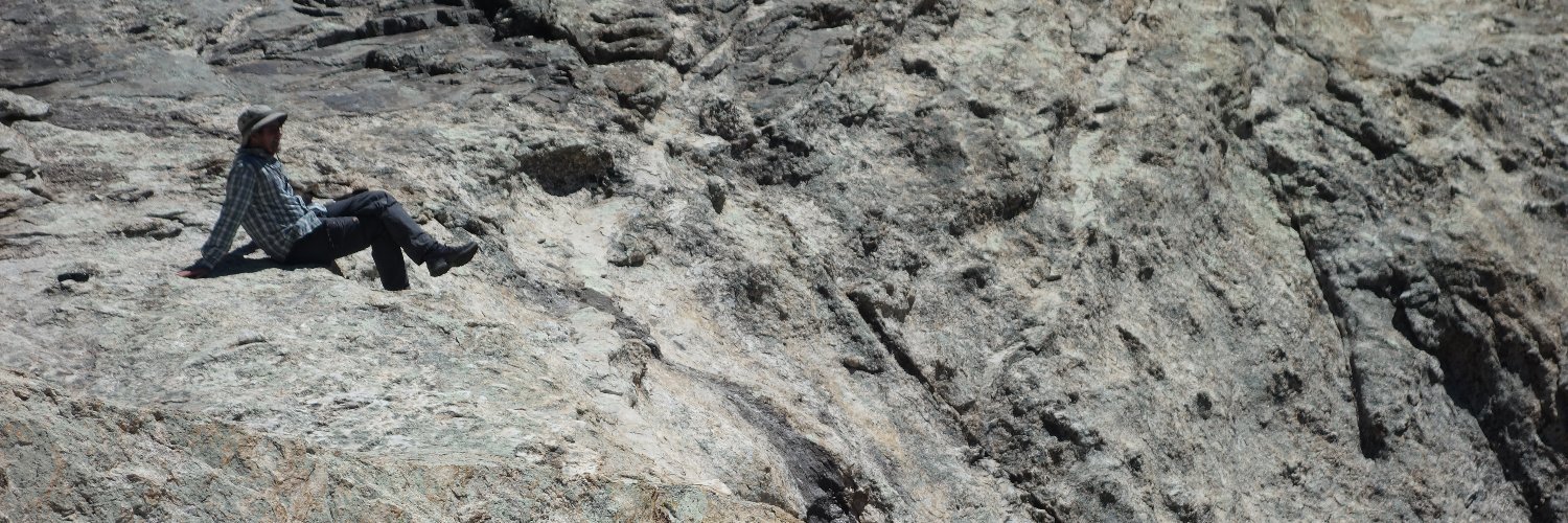 Marcel Tinnemans banner