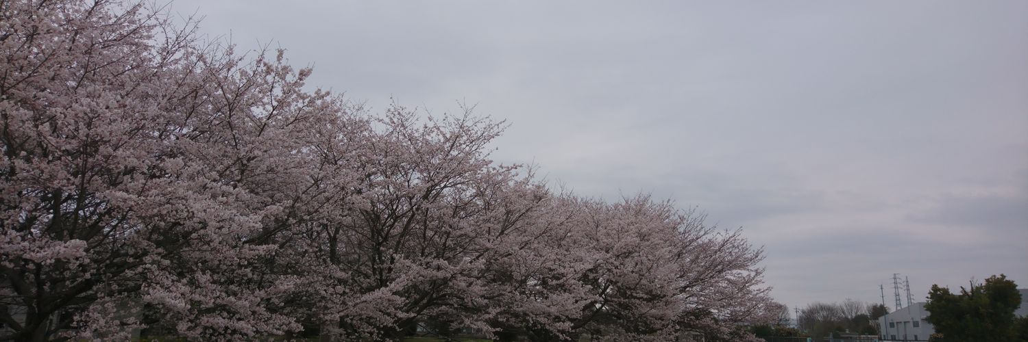 Rescue_moco's profile banner image