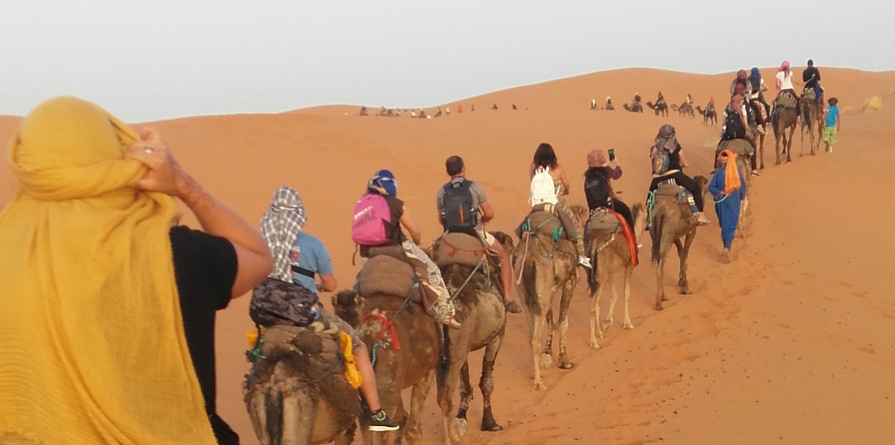 Alejandra Rodas banner