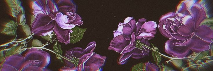 suki ✿'s banner