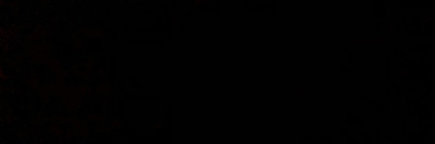 elizabethplacko's profile banner image