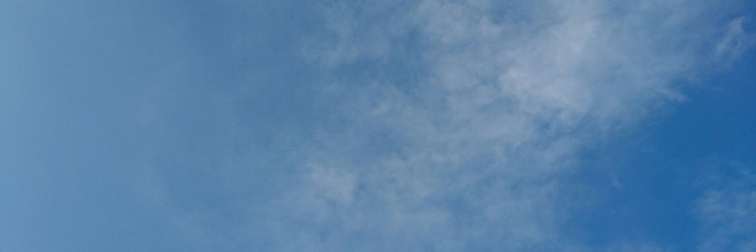 kotozakura's profile banner image