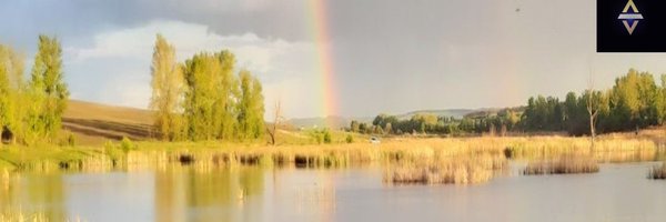 swetenko Profile Banner
