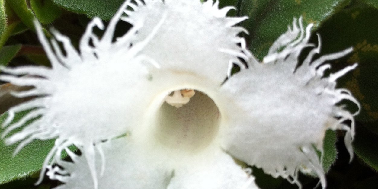 WilliamGarratt2's profile banner image