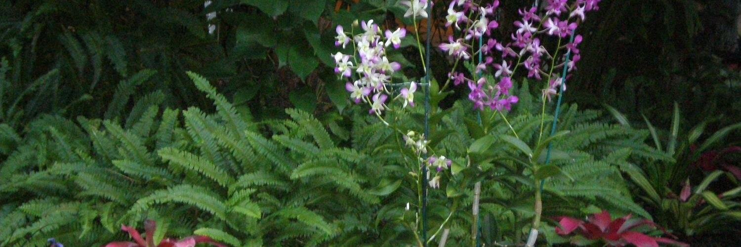 glenmcdaniel's profile banner image