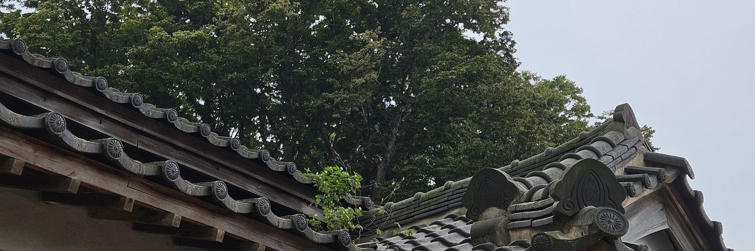 佳:아가🌺 banner