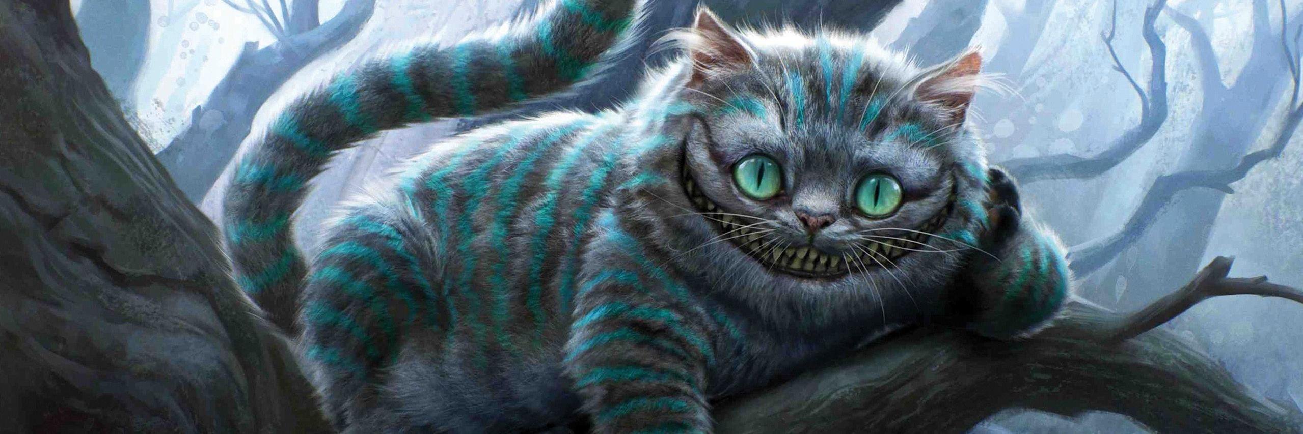 nicrimo's profile banner image