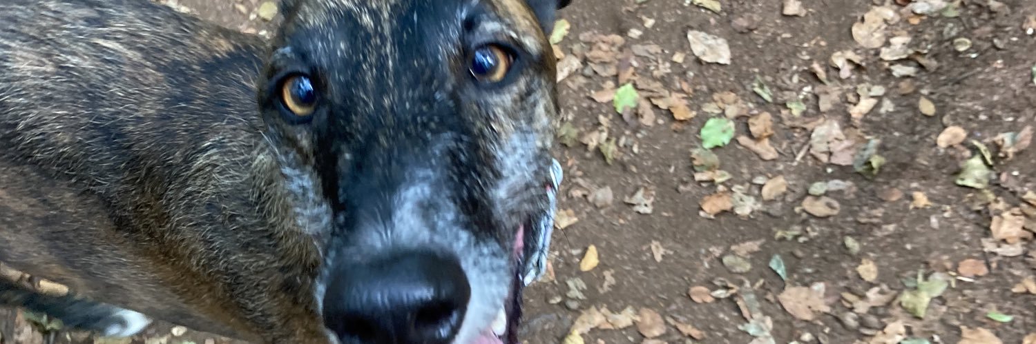 Meri Sanchez83 banner