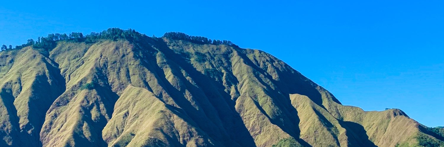 raditaprillia's profile banner image