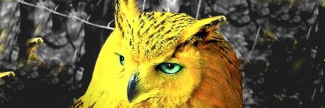 federicoduarte banner