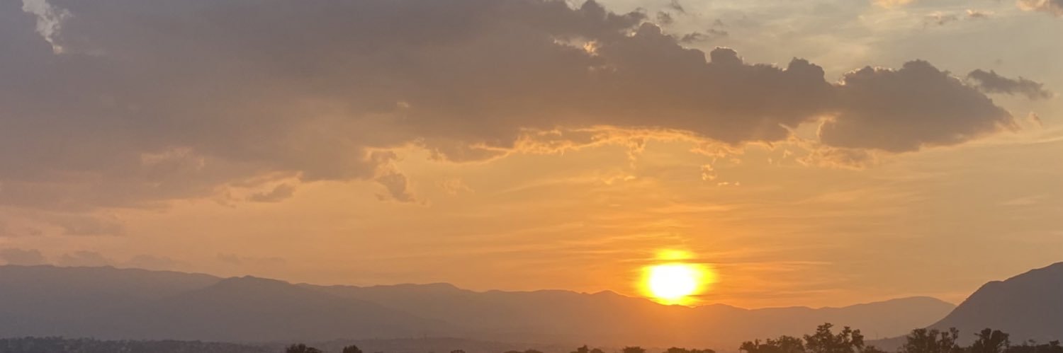 🦊 banner