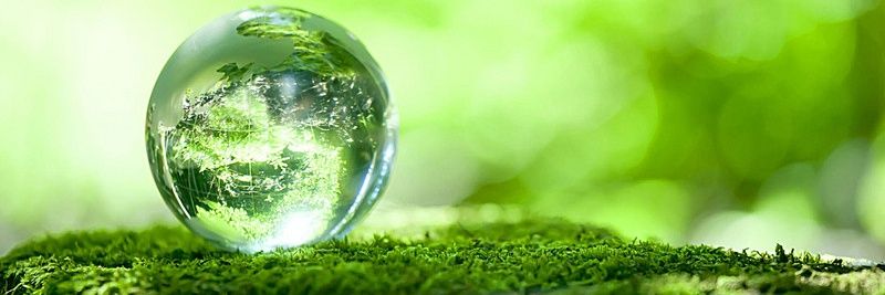 杀出地狱8964的女人/骟你老爹6b4t banner