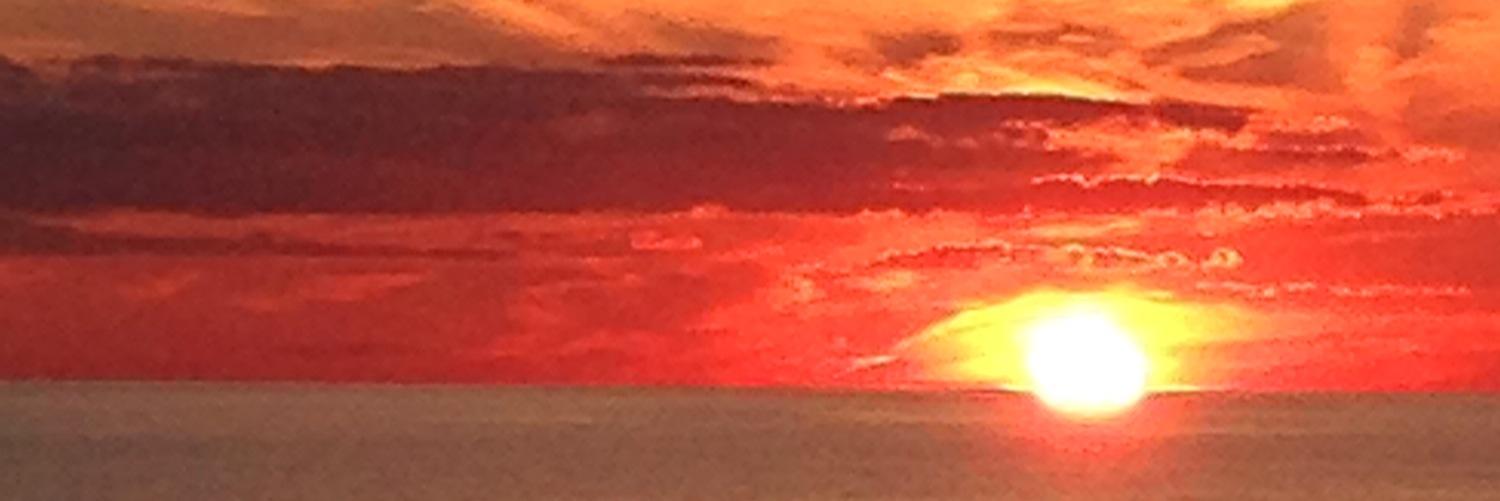 GenoScala's profile banner image