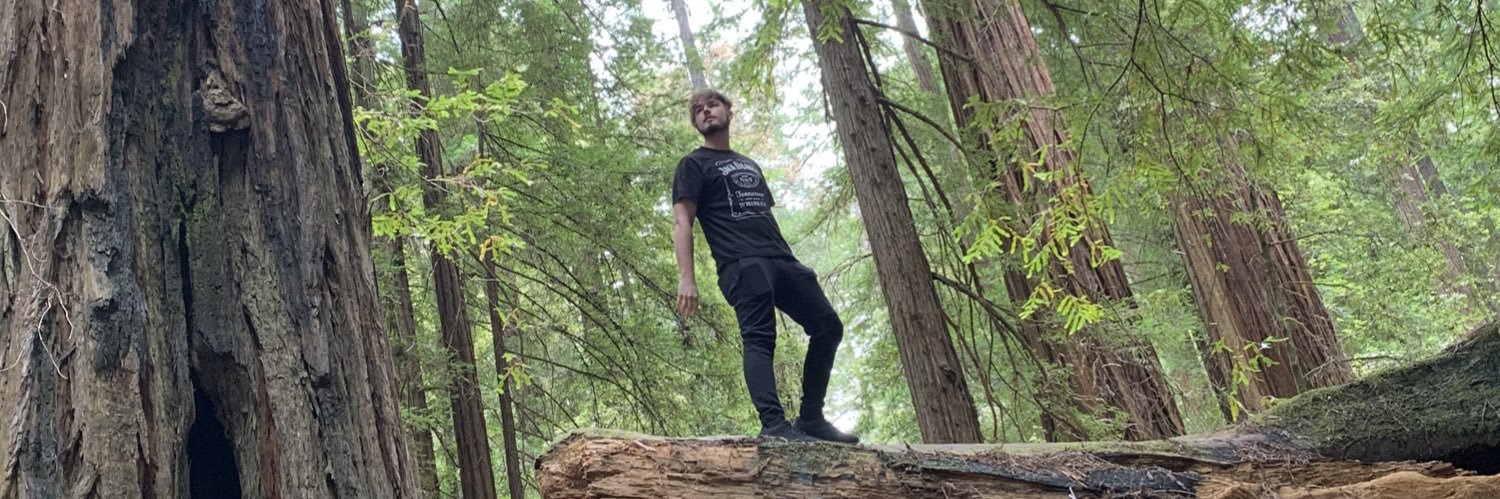 SnarkByBoz's profile banner image