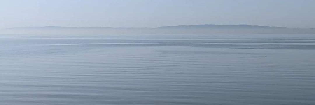 sunizup💜🦢✨️ banner