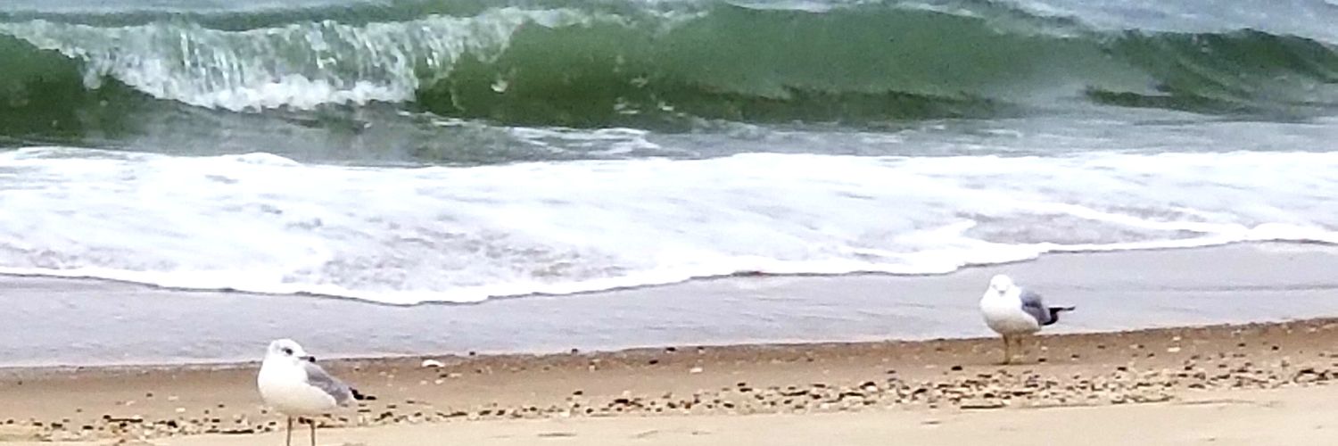 Colleen_Callis's profile banner image