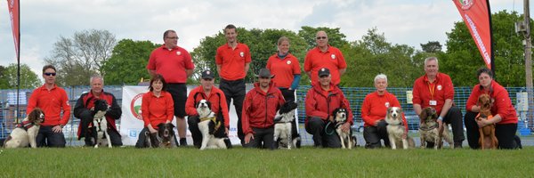 bustersbulletin Profile Banner