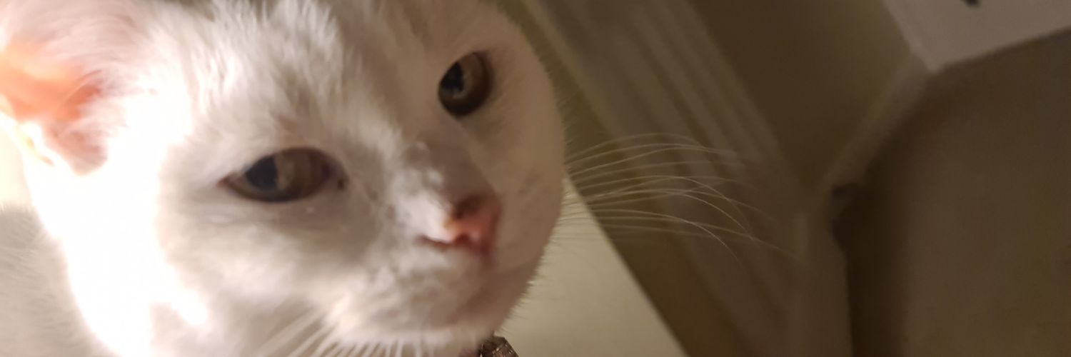 stendanny's profile banner image