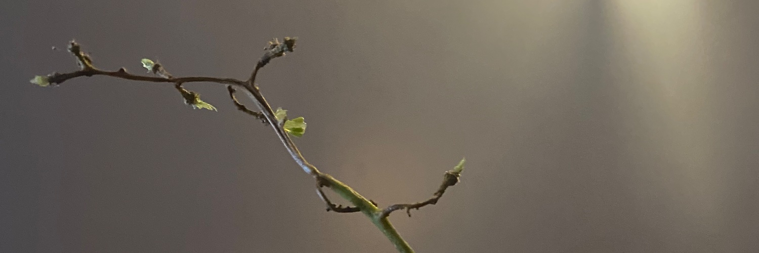 diekssss's profile banner image