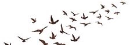 RFndy's profile banner image