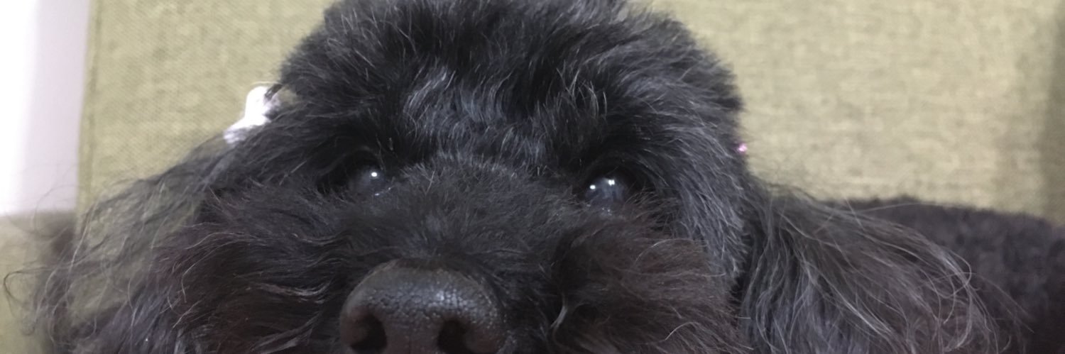 Kkoco's profile banner image