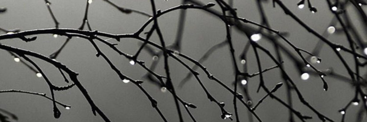 hamed6485's profile banner image