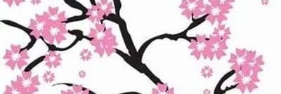 Flwr778 banner