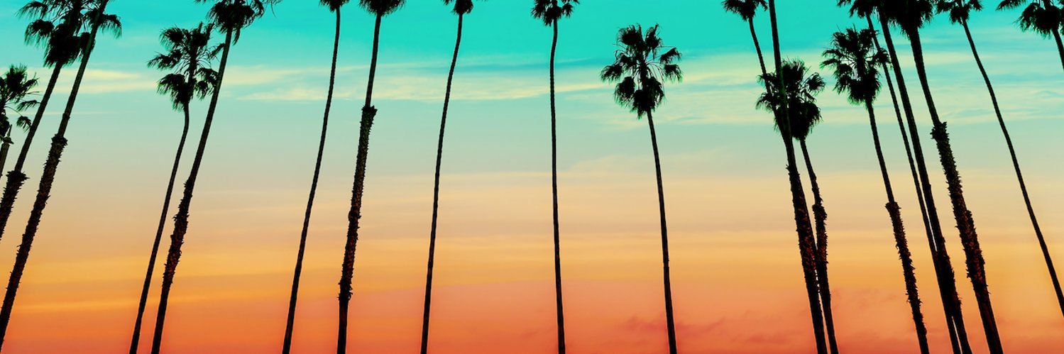 visaluto's profile banner image
