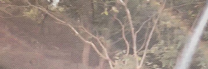 PF 🌌 banner