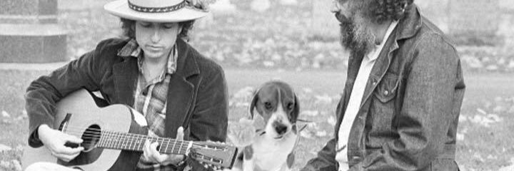 TheLadyHoliday's profile banner image