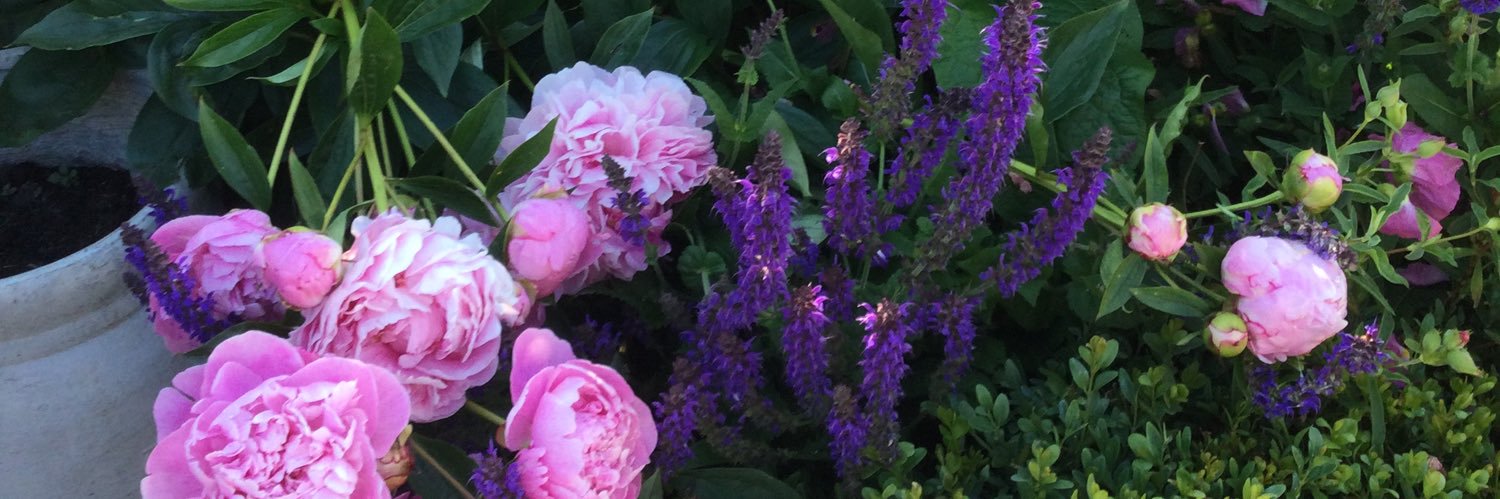 Helen 🌺🌼🌸🇬🇧's banner
