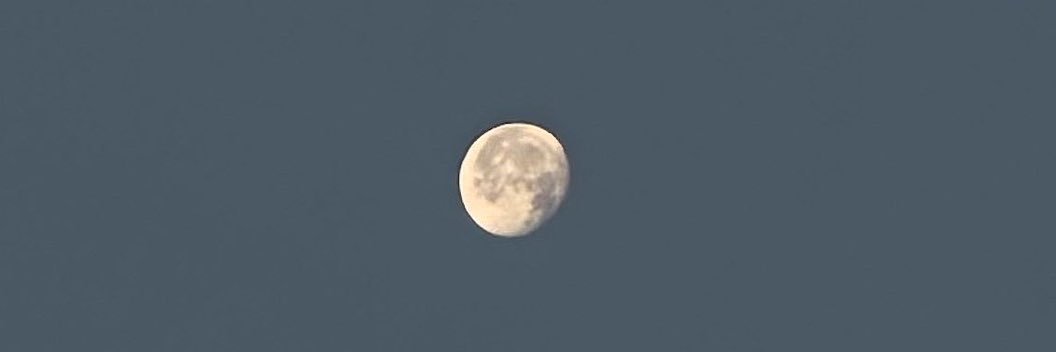 Joselinem05's profile banner image