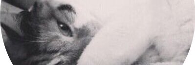bambledora's profile banner image