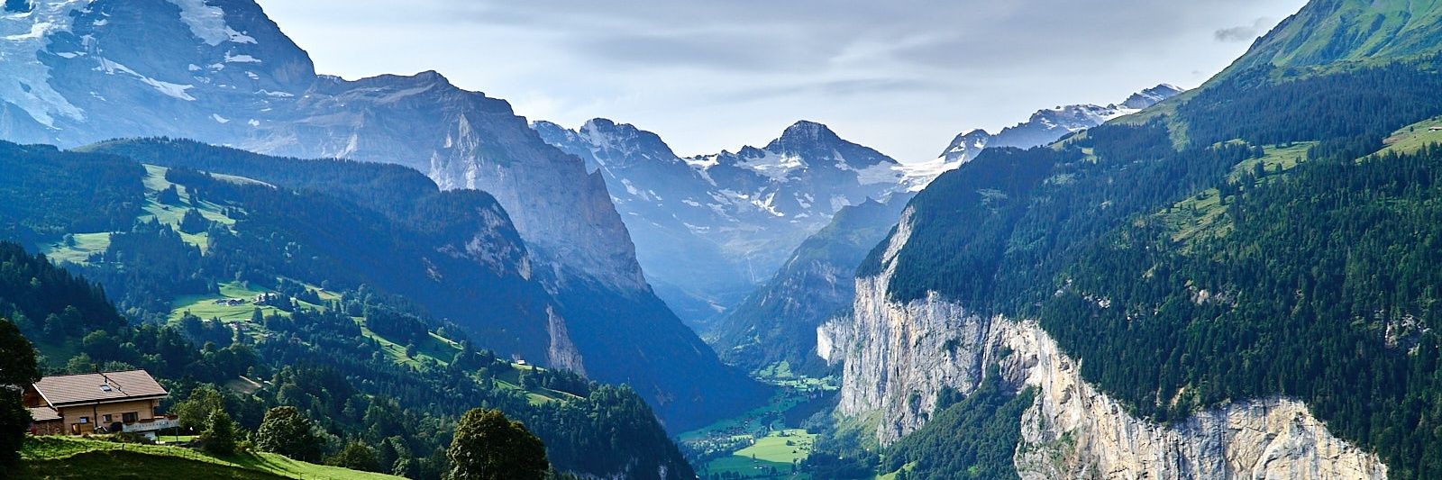 𝘼𝙡𝙥𝙞𝙣𝙚𝘾𝙤𝙙𝙚 banner