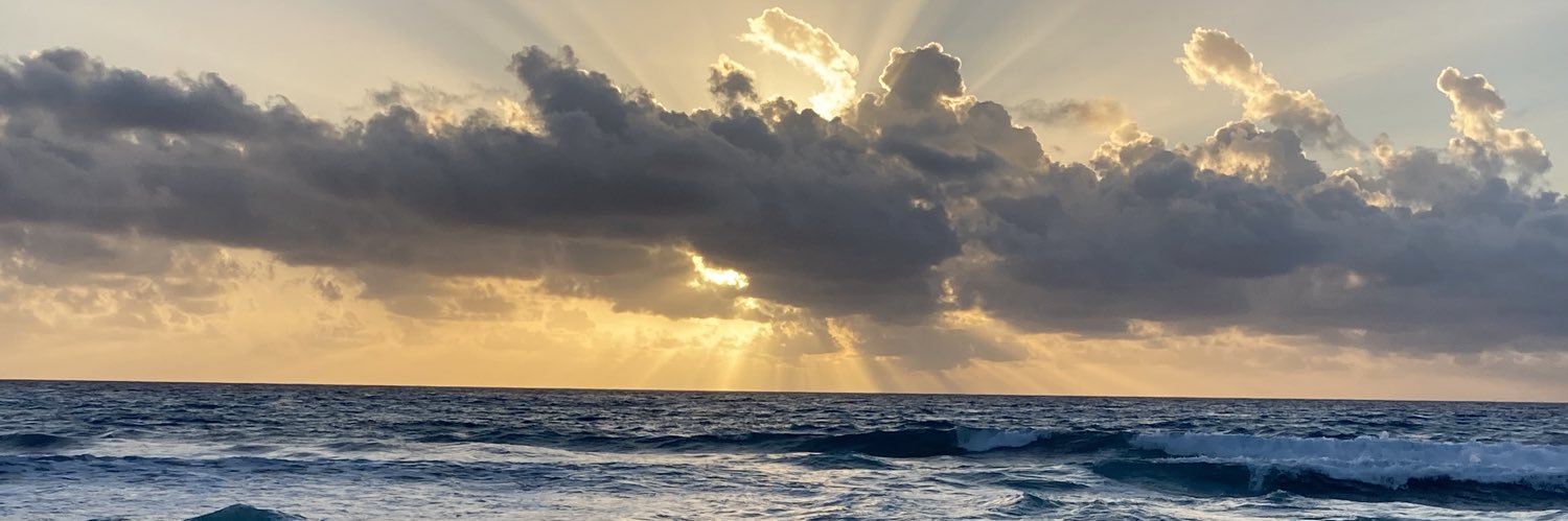 nkhavens's profile banner image