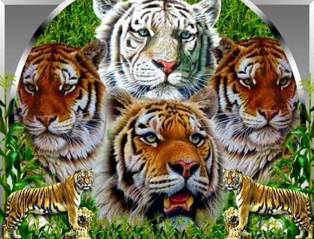 HarperRowena's profile banner image