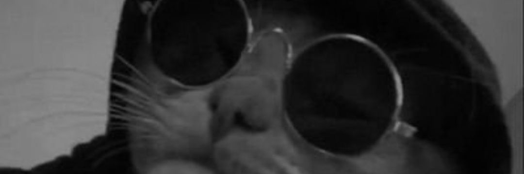 Ludagrava's profile banner image