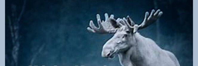 Mooses Felix 🇺🇸's banner