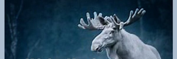 MoosesFelix Profile Banner