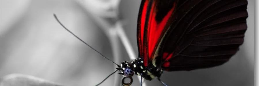 IngridS62's profile banner image