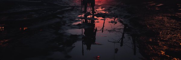 chiguirii Profile Banner